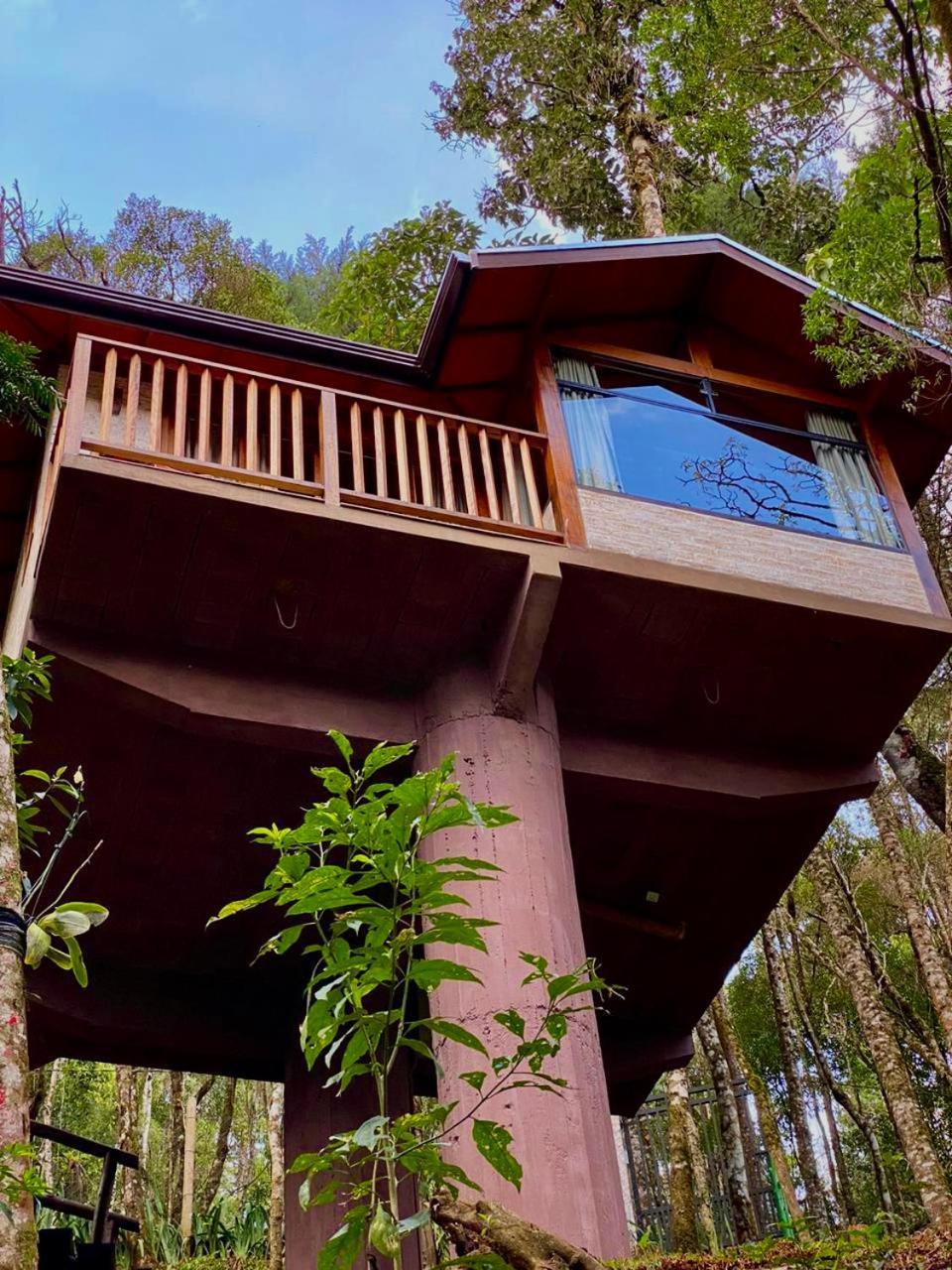 Mushrooms Ecovillage Monte Verde (Minas Gerais) Exterior foto